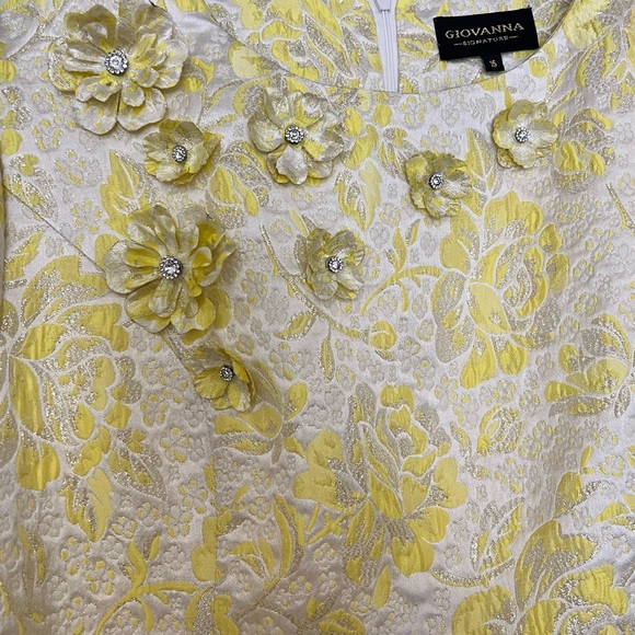 Giovanna size 16 dress NWT - Picture 7 of 8